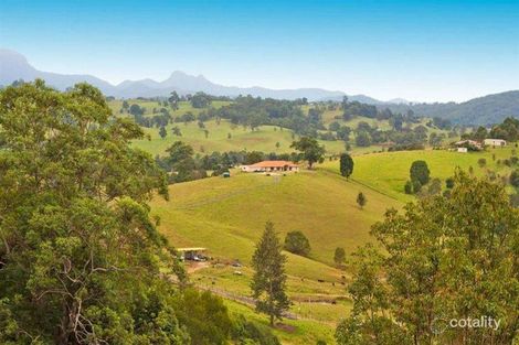 Property photo of 46 Possumwood Close Tyalgum NSW 2484