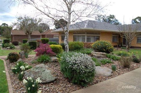 Property photo of 3 Scholz Avenue Nuriootpa SA 5355