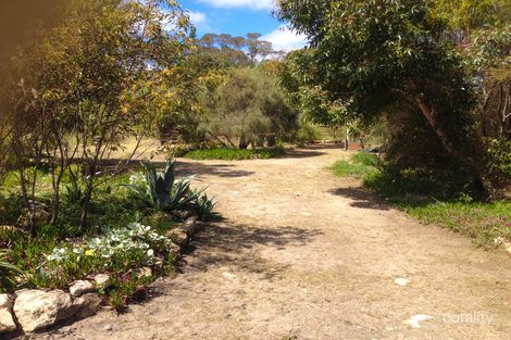 Property photo of 6 Beach Crescent Baudin Beach SA 5222