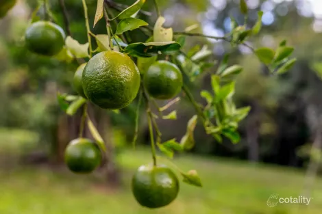 Property photo of 16 Ilkley Road Eudlo QLD 4554