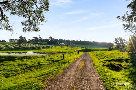 Property photo of 82 Ryans Lane Wildes Meadow NSW 2577