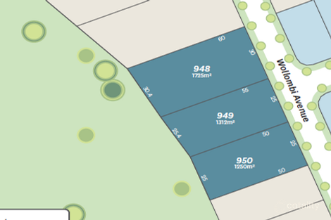 Property photo of 72 Wollombi Avenue Ormeau Hills QLD 4208