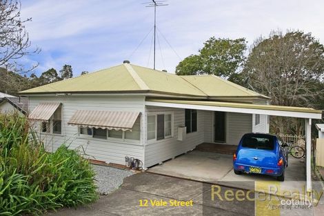 Property photo of 12 Vale Street Birmingham Gardens NSW 2287
