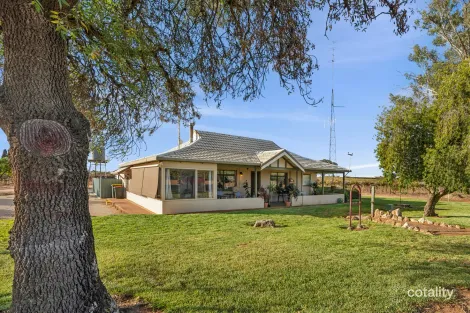 213 Old Sturt Hwy, Barmera, SA 5345