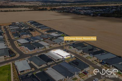 Property photo of 71 Correa Street Munno Para SA 5115