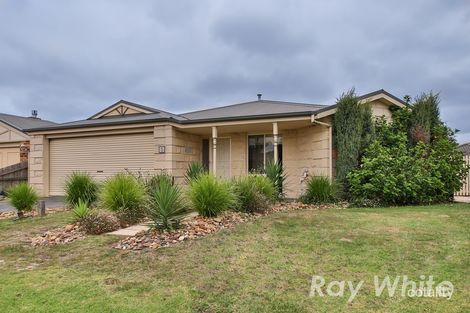 Property photo of 5 Michael Way Somerville VIC 3912