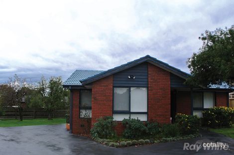 Property photo of 4 Halcot Close Mulgrave VIC 3170