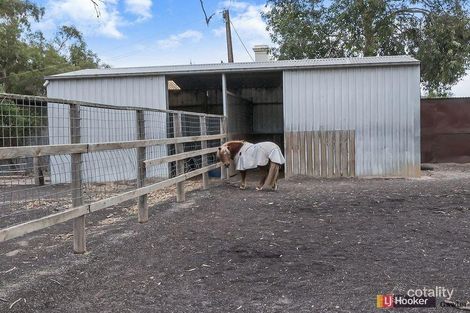 Property photo of 69 Leske Road Freeling SA 5372