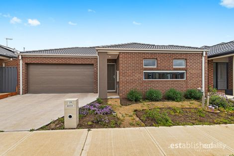 19 United Ave, Tarneit, VIC 3029