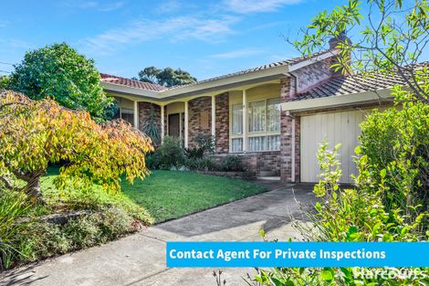 Property photo of 7 Settlers Court Vermont South VIC 3133