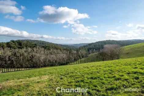 Property photo of 28 Grantulla Road Selby VIC 3159