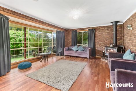Property photo of 269 Wadleys Road Reedy Marsh TAS 7304