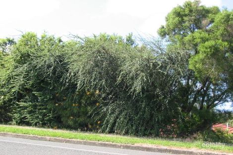 121 Edith St, Waratah, NSW 2298