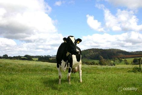 1699 Murchison Hwy, Yolla, TAS 7325