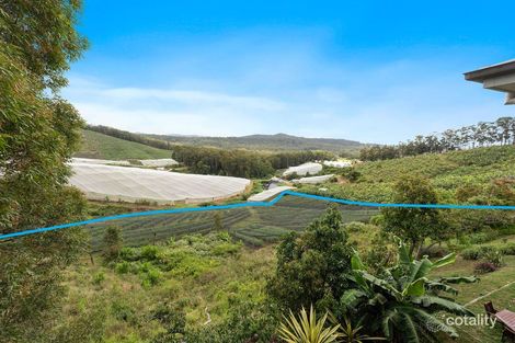 Property photo of 269 Morgans Road Woolgoolga NSW 2456