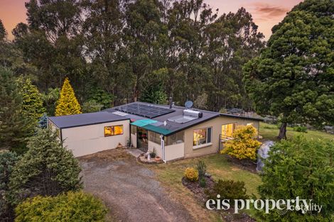 996 Halls Track Rd, Pelverata, TAS 7150