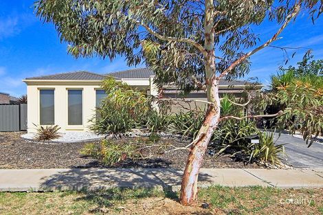 Property photo of 35 Danfield Drive Tarneit VIC 3029