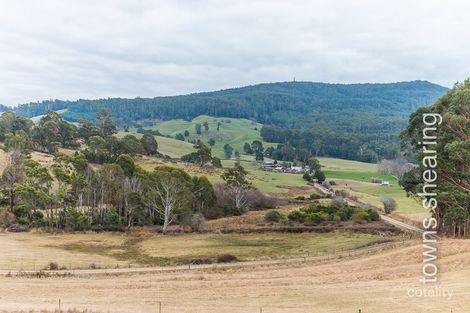 Property photo of 85 Blythes Road Turners Marsh TAS 7267