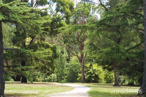 Property photo of 5/220 Warrigal Road Camberwell VIC 3124