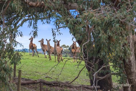 Property photo of 418 Barringo Road New Gisborne VIC 3438