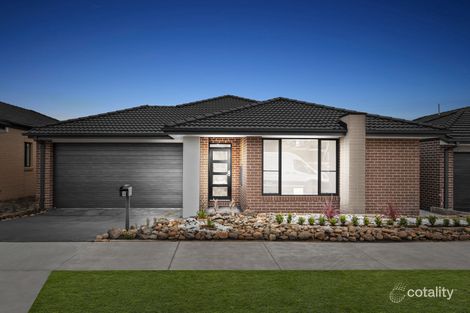 6 Cilantro St, Kalkallo, VIC 3064