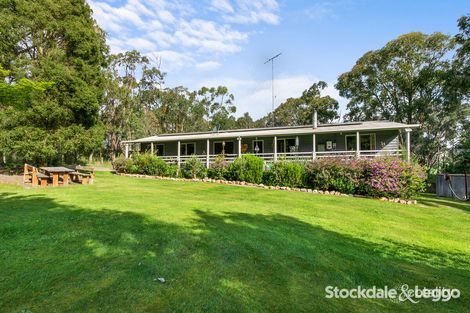 592 Jumbuk Rd, Yinnar South, VIC 3869