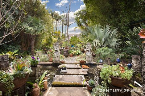 Property photo of 11A Murray Road Cheltenham NSW 2119
