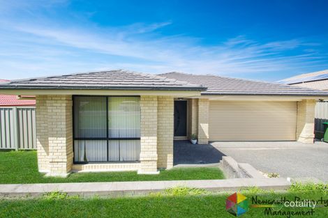 17 Foveaux St, Cameron Park, NSW 2285