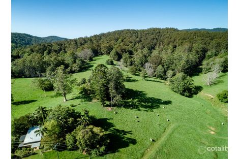 56 Sunny Corner Rd, Bellingen, NSW 2454