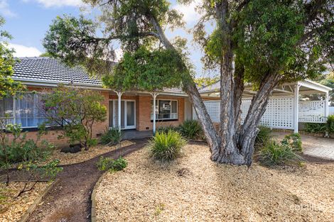 68 Rozelle Ave, Melrose Park, SA 5039