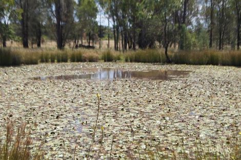 Property photo of 173 Surcingle Road Red Hill QLD 4059