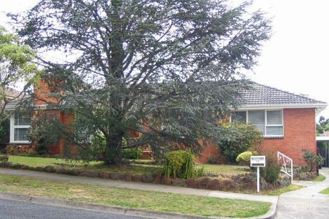 19 Vivianne Ave, Mont Albert North, VIC 3129