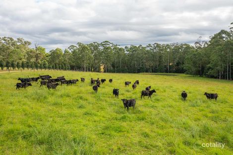 141 Bril Bril Rd, Rollands Plains, NSW 2441