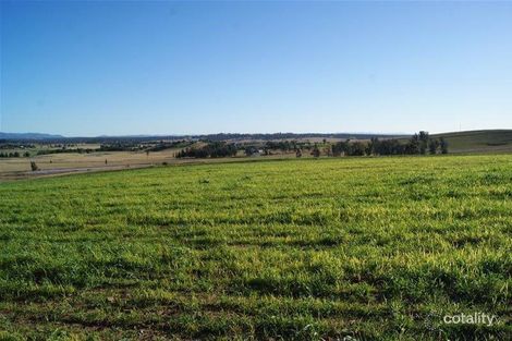 Property photo of 6 Pyrus Avenue Branxton NSW 2335