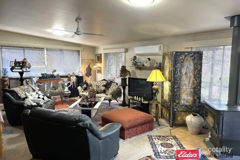 Property photo of 9 Macquarie Street Neville NSW 2799