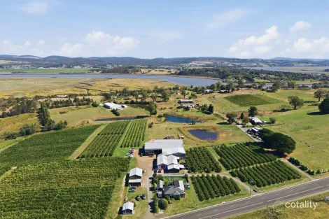 161 John Lees Dr, Dilston, TAS 7252