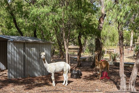 Property photo of 3 Hosier Court Leschenault WA 6233