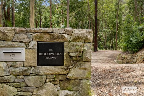 239 Smiths Creek Rd, Smiths Creek, NSW 2484