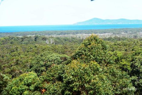 31 Eastern Valley Way, Tallwoods Village, NSW 2430