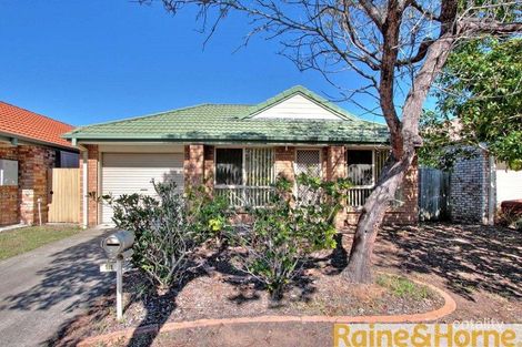 11 Lithfield Pl, Loganholme, QLD 4129