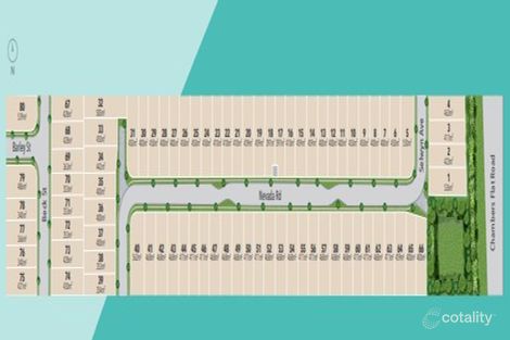 Property photo of 13 Nevada Road Park Ridge QLD 4125