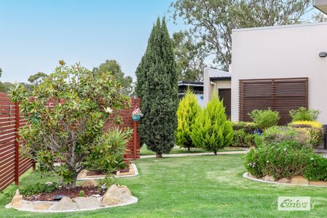 Property photo of 41 Bisley Street Warwick QLD 4370