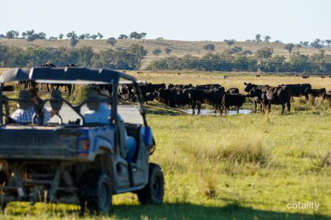 157 Coalmine Rd, Ashford, NSW 2361