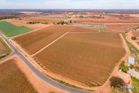 Property photo of 220 Stewart Road Red Cliffs VIC 3496