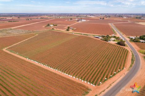 Property photo of 220 Stewart Road Red Cliffs VIC 3496