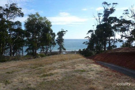 Property photo of 43 Hull Street Leith TAS 7315