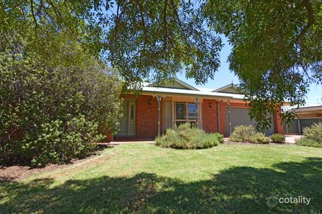 Property photo of 16 Burke Court Mildura VIC 3500