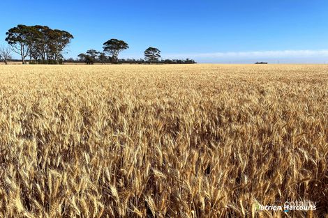 12224 Goldfields Rd, Baandee, WA 6412