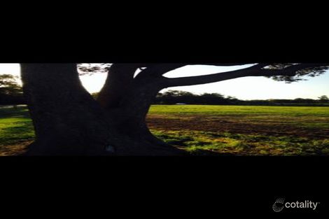 Property photo of 19 Todman Grove Darling Downs WA 6122