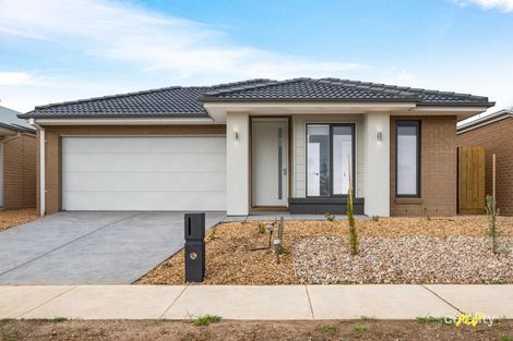 41 Seabrook Cres, St Leonards, VIC 3223